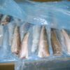 Argentinian Hake Supplier Near Me