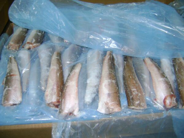 Argentinian Hake Supplier Near Me