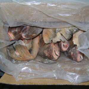 Corvina Yellow Supplier Near Me