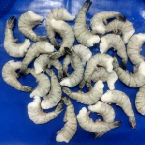 Black Tiger shrimps supplier