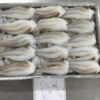 FROZEN CUT BABY OCTOPUS supplier