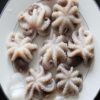 Octopus fish supplier