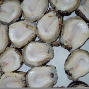 manufacturer of abalone