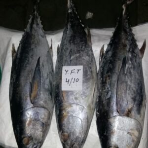 Yellowfin Tuna Wholesale supplier